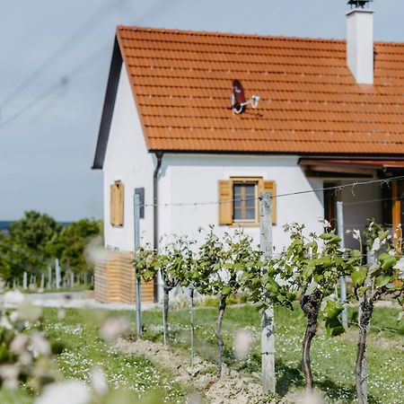 Urlaub Im Kellerstoeckl Dunst Lägenhet Strem Rum bild